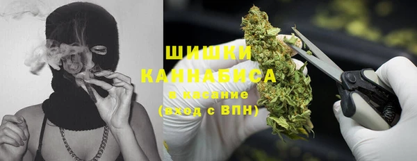 трава Арсеньев