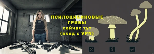 кокс Аркадак