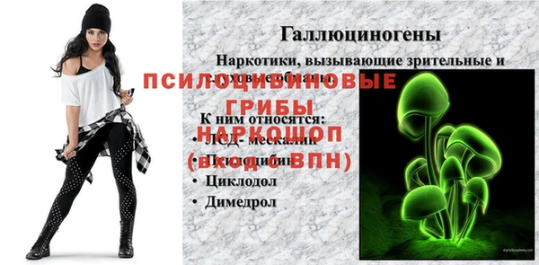 кокс Аркадак