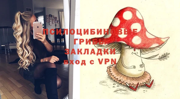 твердый Армянск