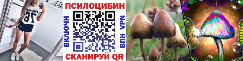 ссылка на мегу онион  Ступино  Галлюциногенные грибы Psilocybe 